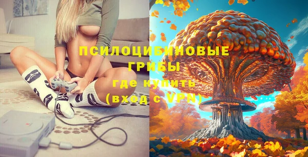 PSILOCYBIN Арсеньев