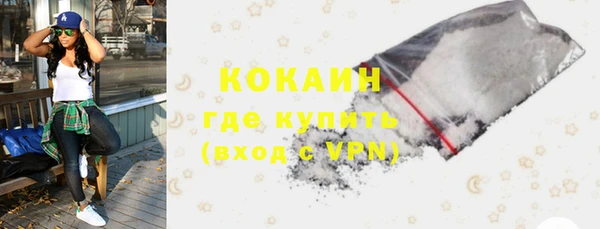 индика Армянск