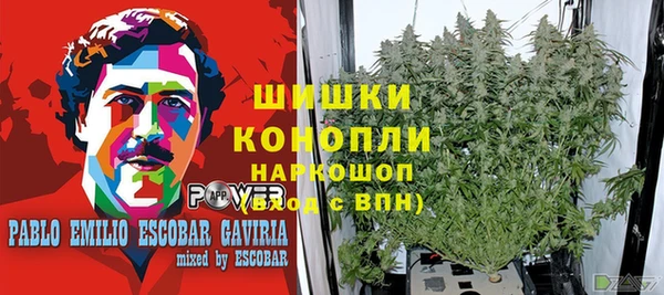 PSILOCYBIN Арсеньев