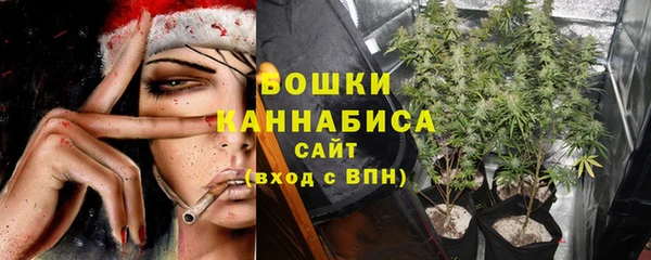 амф Аркадак
