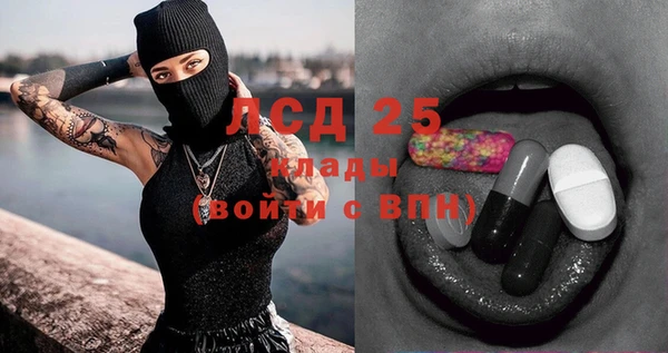 индика Армянск