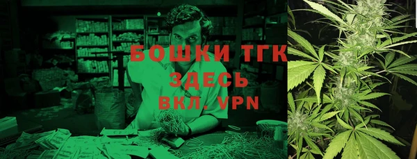 индика Армянск
