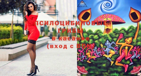 PSILOCYBIN Арсеньев