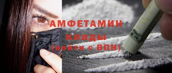 индика Армянск